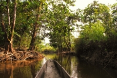 Sepik Canoe Safari image
