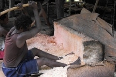 Swagup scraping sago